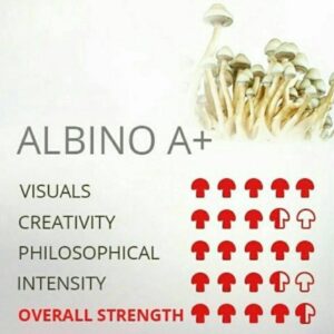 ALBINO A+ SHROOM