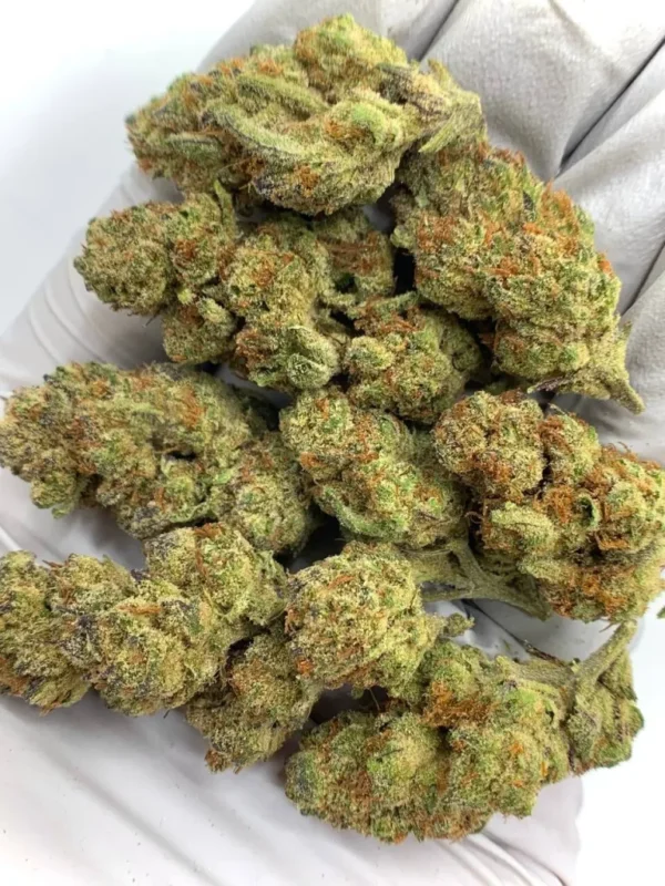 Grapes N Cream Premium Hybrid Strain