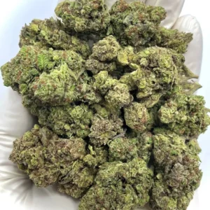 Joker’s Candy Indica