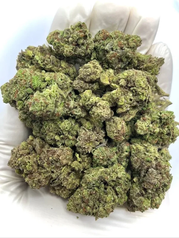 Joker’s Candy Indica