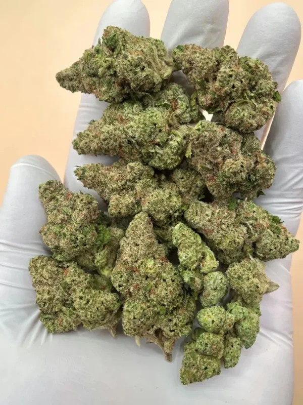 Papaya Bomb Hybrid Strain