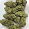 Watermelon Blaster Indica Dominant Hybrid