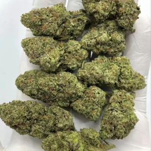 Watermelon Blaster Indica Dominant Hybrid