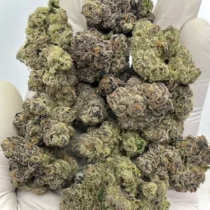 Wazabi Potent Hybrid Strain