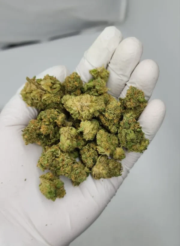 Yellow Mermaid Sativa Dominant Hybrid Strain