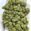 Jet Fuel Gelato Hybrid Cannabis Strain THC 23-29%